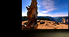 Atop Sentinel Dome...