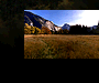 Valley Meadow...